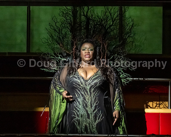 Pacific Symphony - The Curse of the Ring "Das Rheingold"