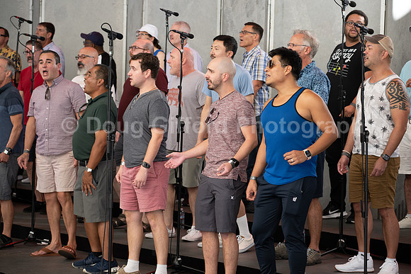 MenAlive at the Hollywood Bowl