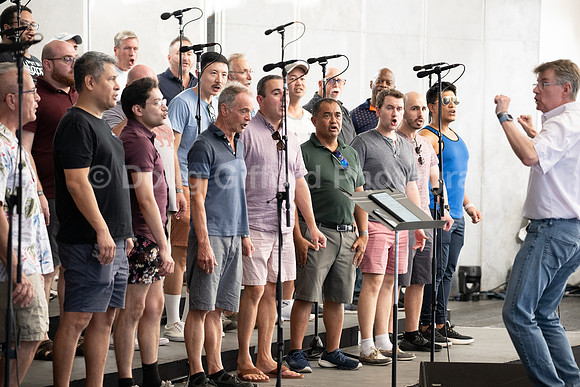 MenAlive at the Hollywood Bowl
