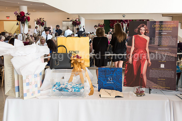 Harvesters Fashion Show & Luncheon 2016