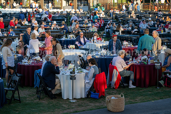 Pacific Symphony- July 4th Spectacular Music of Buffet, Beach Boys and More