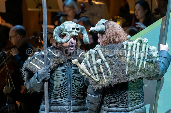 Pacific Symphony - The Curse of the Ring "Das Rheingold"